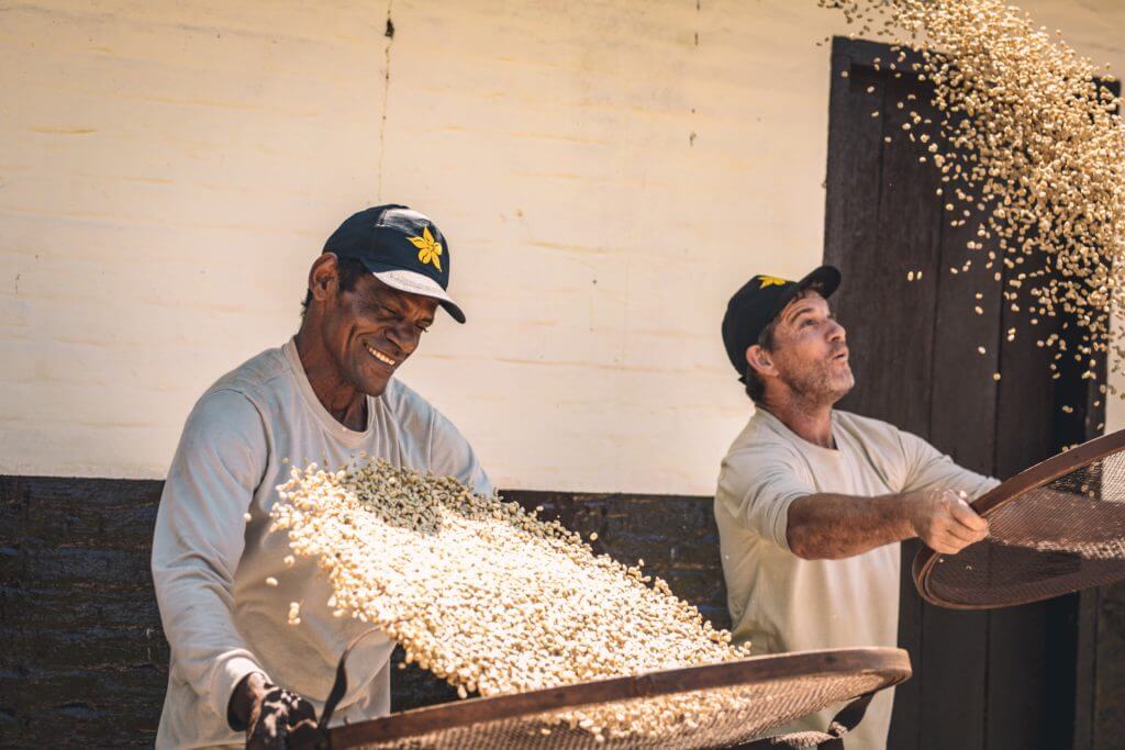 οι ΠΟΙΚΙΛΙΕΣ