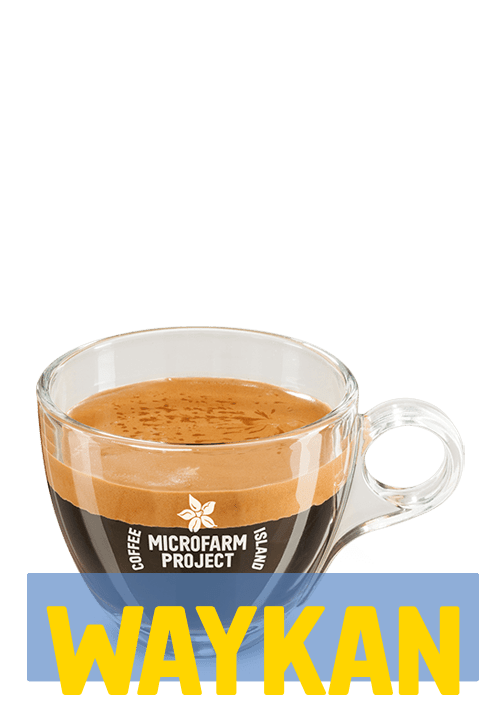 Espresso Microfarm Large