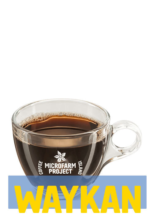 Φίλτρου Microfarm Regular