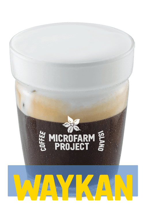 Freddo Cappuccino με Φυτική Κρέμα Microfarm 12oz