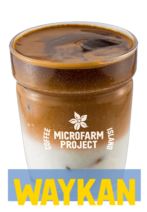 Iced Latte Microfarm