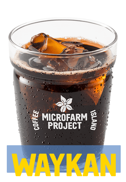 Παγωμένος Φίλτρου Microfarm Large