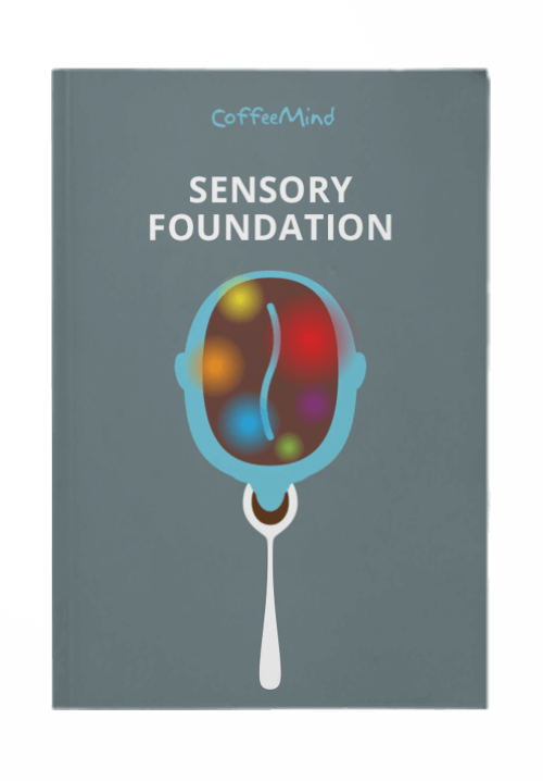 Sensory Foundation Βιβλίο