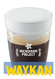Freddo Cappuccino Milk Foam MicroFarm