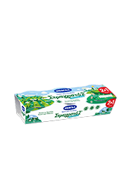 Strained Yogurt 2% MEVGAL (2Χ170G)