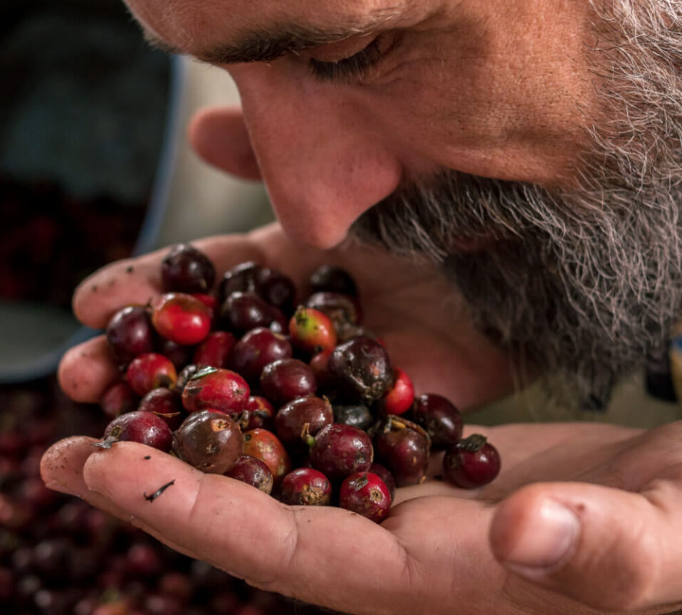 SUSTAINABLE DEVELOPMENT